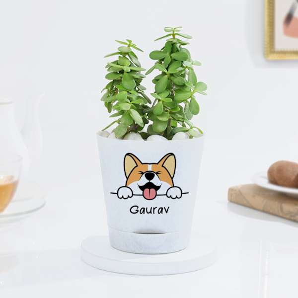 Personalized Self-Watering Dog Planter With Jade Plant
