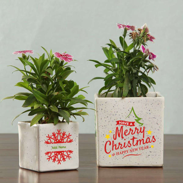 Personalized Set of Ceramic Planters for Christmas & New Year