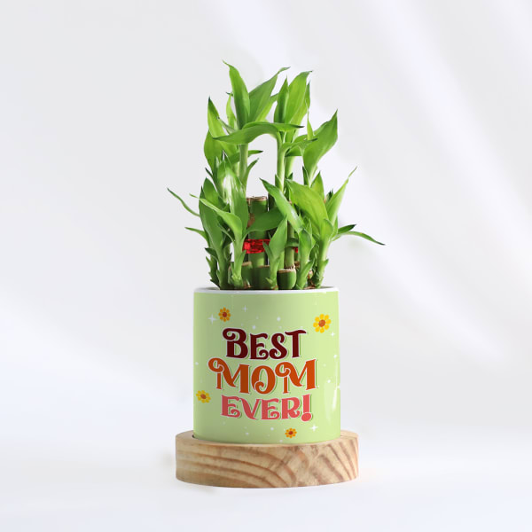 Personalized Two Layered Bamboo Plant In Pot For Mom