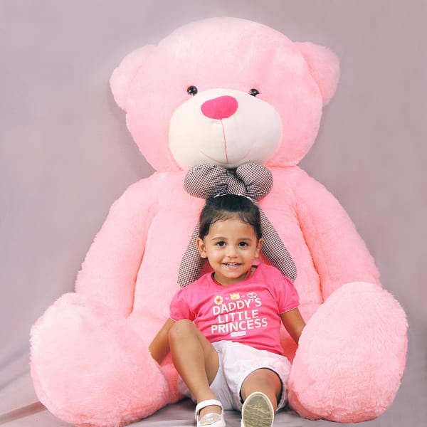 Buy/Send Pink Adorable Teddy Bear for Girls Online | IGP | JVS1190092