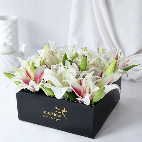 Pink & White Lilies in Box Arrangement