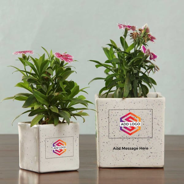 Planter Set With Logo And Message Customisation