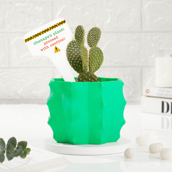 Proceed With Caution - Planter With Personalized Acrylic Tag