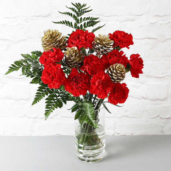 Radiant Red Carnations And Golden Pinecones Christmas Arrangement