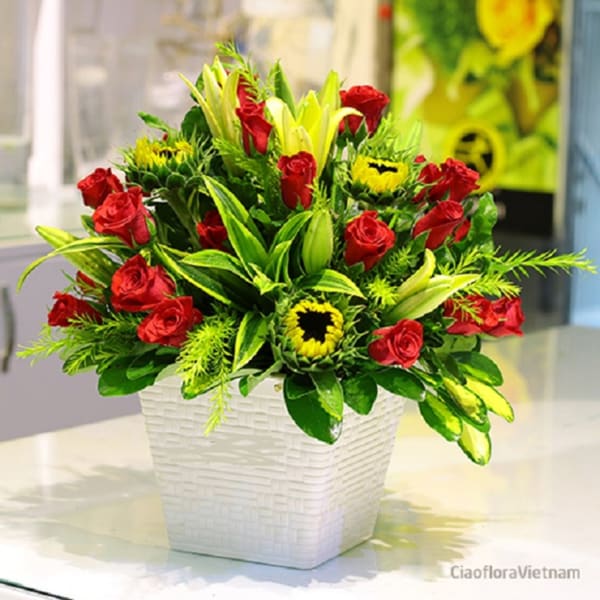 Red & Green Bouquet in Pot