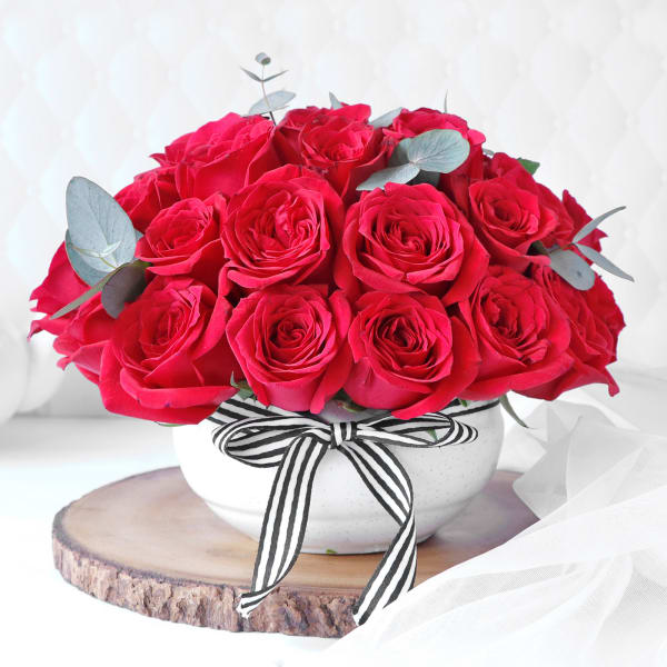 Red Roses in Planter with Ribbon (25 Stems)