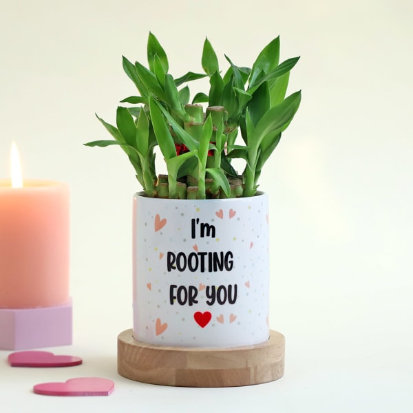 Romantic Personalized Pot with Bamboo Plant