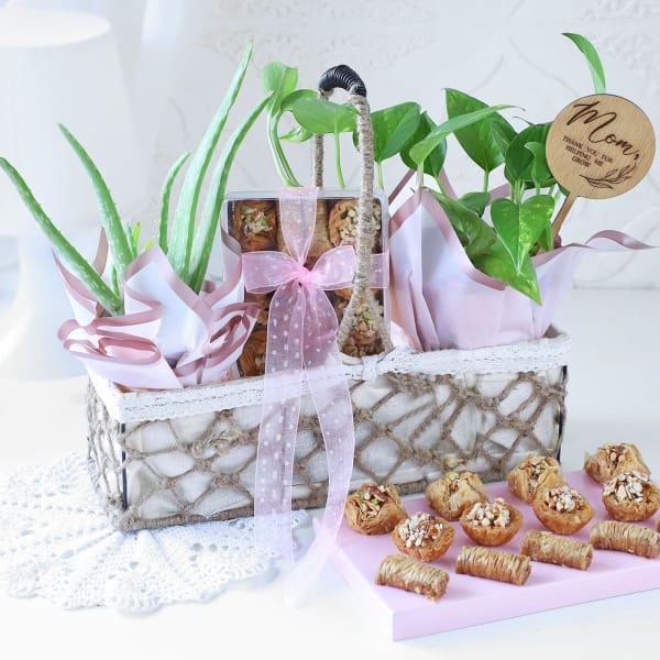 Rooting for Love Mother's Day Basket