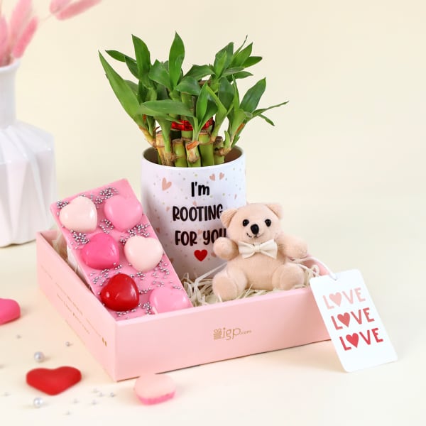 Rooting for you Personalized Plant Gift