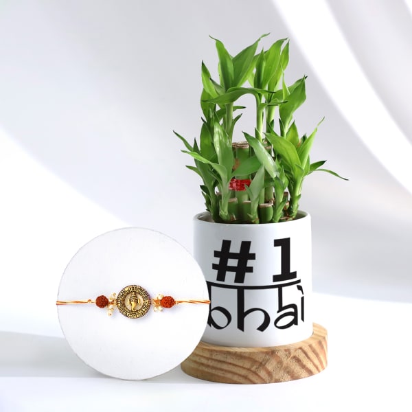 Rudraksha Beads And Ganesha Rakhi And Bamboo Plant With Pot
