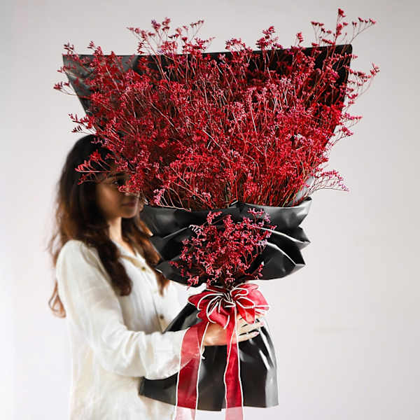 Scarlet's Embrace