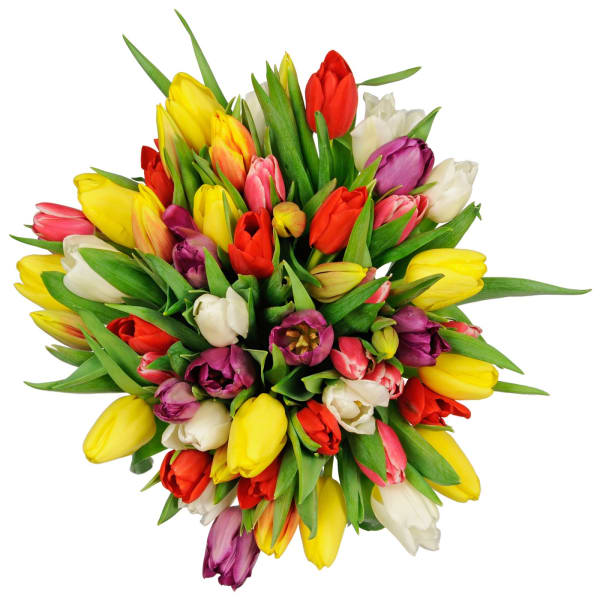 Seasonal Tulips Bouquet