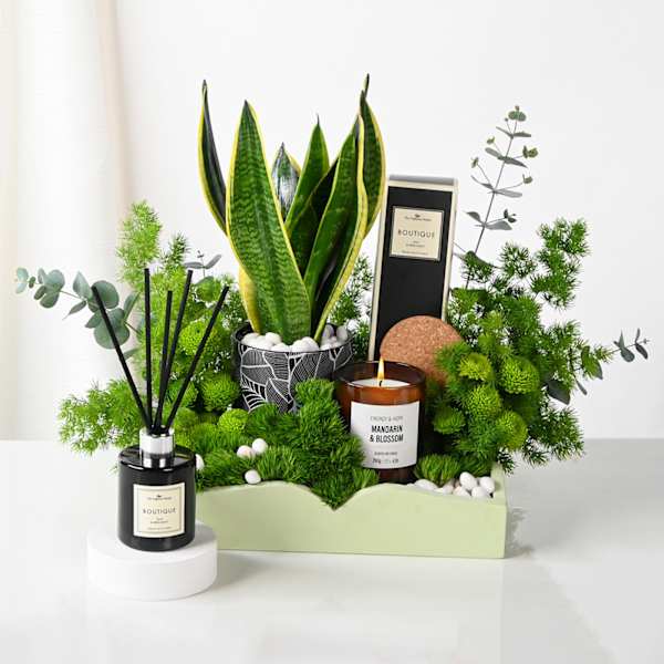 Serene Green Luxe Hamper