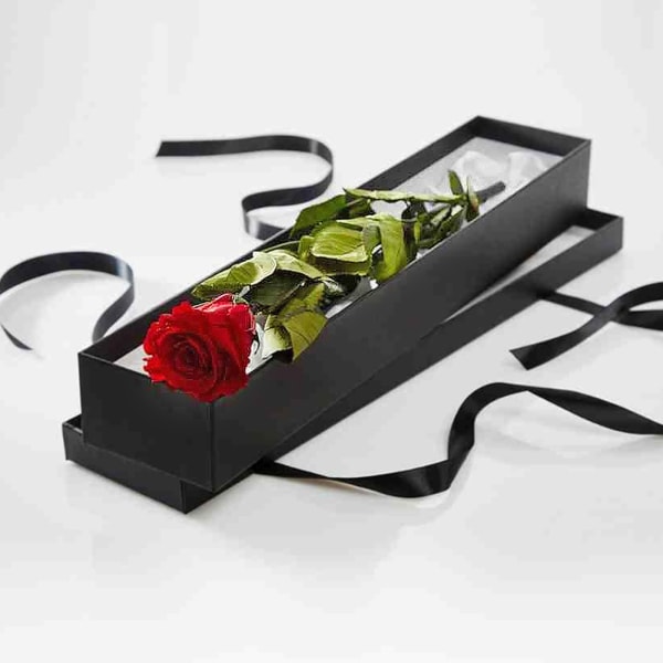 Single Red Rose In a Gift Box