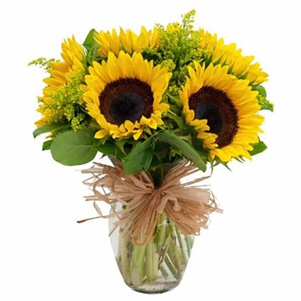 Six Yellow Sunflowers Bouquet