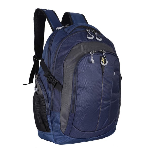 Buy Send SKYBAGS FOX BUSINESS POLYESTER LAPOTOP BACKPACK Online IGP LC1119306