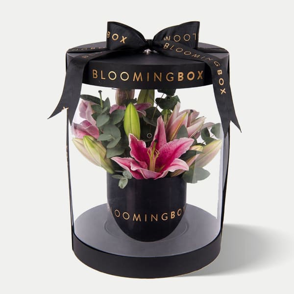 Small Lilies Box Premium