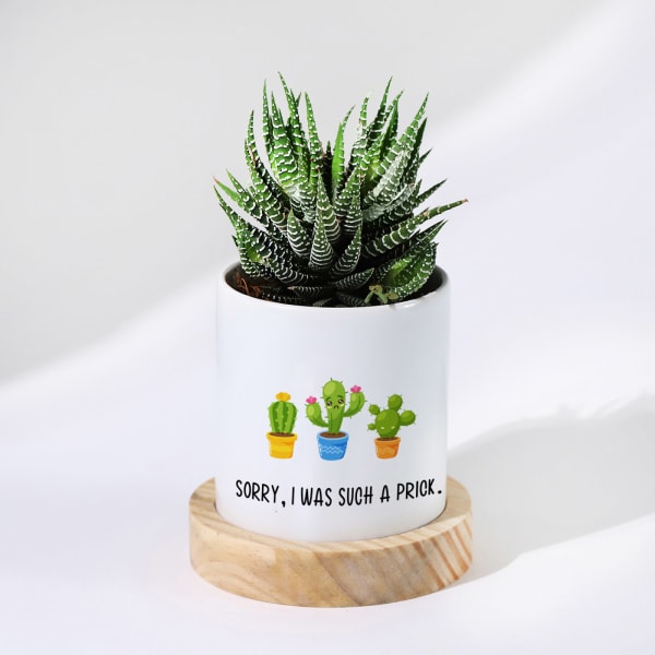 Sorry I Was A Prick - Haworthia Succulent With Personalized Pot