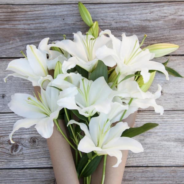 Spotlight - 15 White Lily Blooms Bouquet
