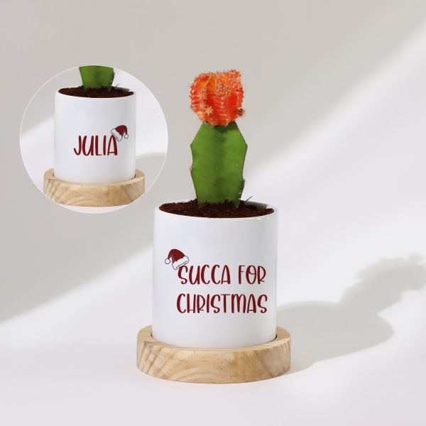 Succa For Christmas - Moon Cactus With Personalized Pot