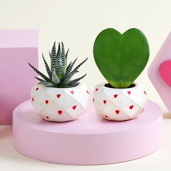 Succulent Love ( set of 2 planters)