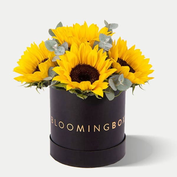 Sunflower Box Small