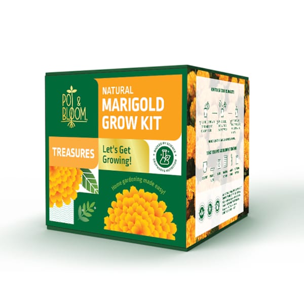 Sunshine Marigold Grow Kit