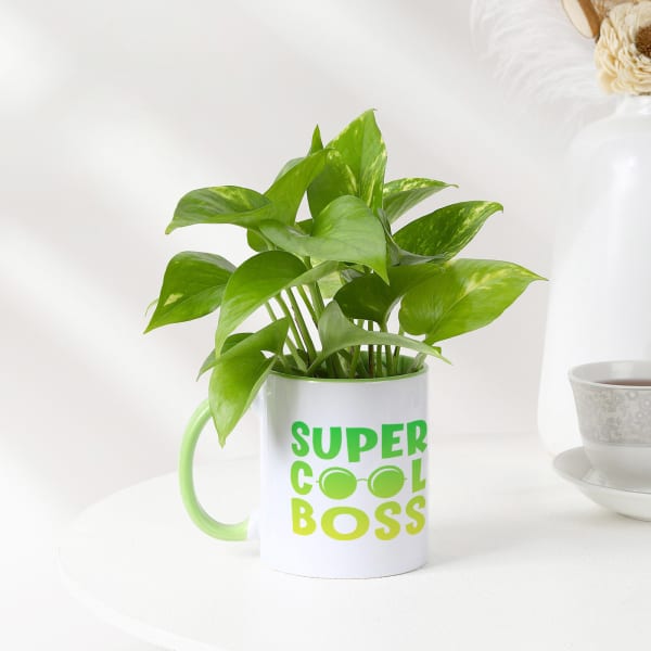Super Cool Boss - Money Plant In Personalized Mug