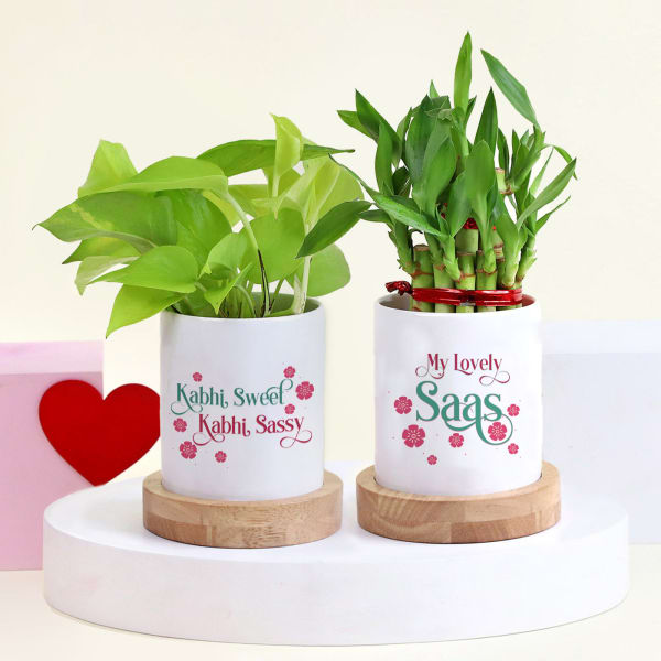 Sweet And Sassy Saas - Bamboo And Money Plant With Personalized Planter