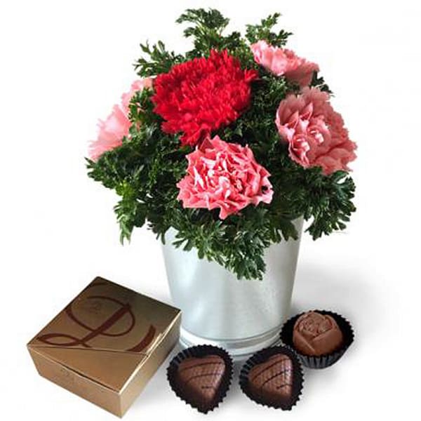 Sweet Carnations - Flowers with Decadence Chocolate Pralines