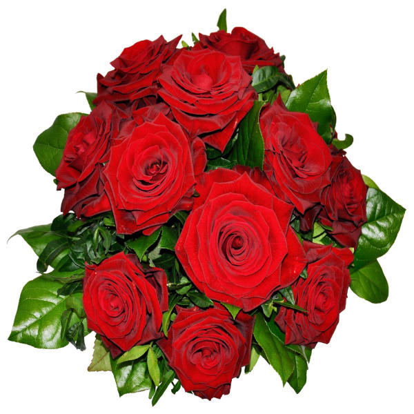 Tantalizing Red Roses