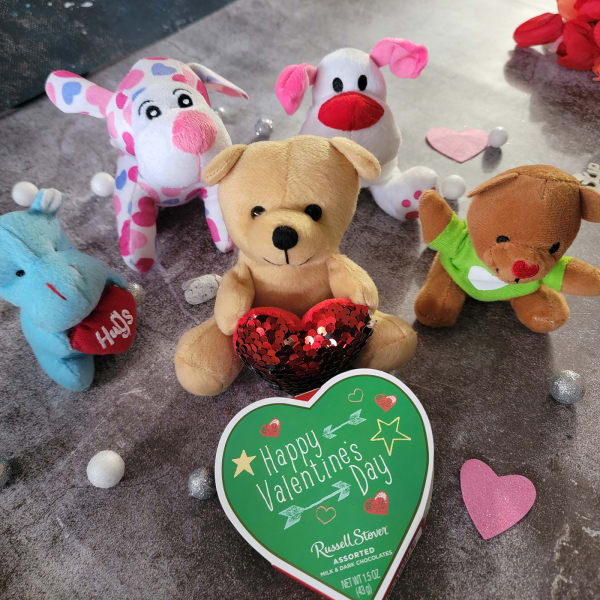 Teddies Delight
