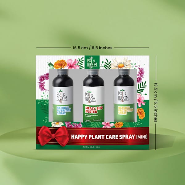 Thriving Greens Plant Care Trio