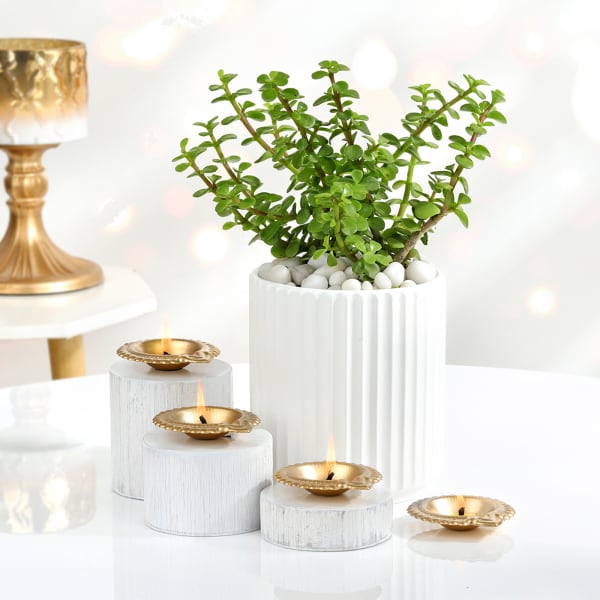 Tranquil Jade With Metal Diyas Diwali Gift Set