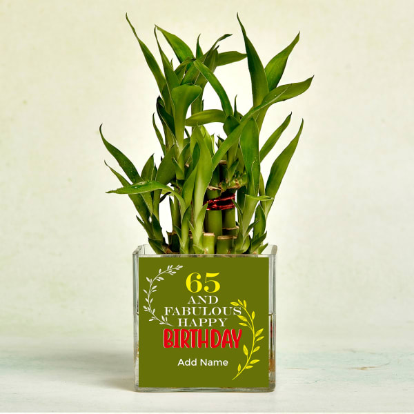 Two Layer Lucky Bamboo in Glass Vase for Birthday Gift/Send Home and