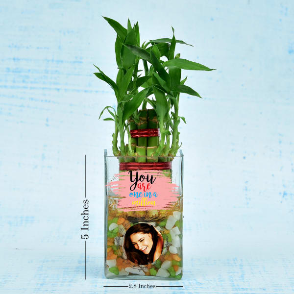Two Layer Lucky Bamboo In Personalized Glass Pot (Moderate Light/Less Water)