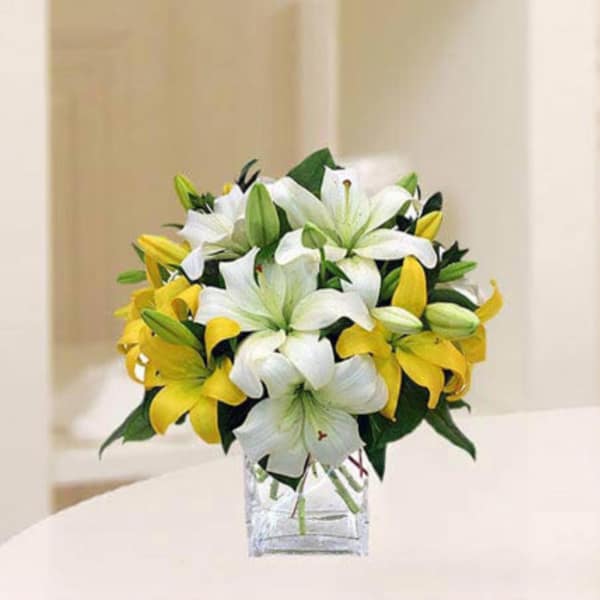 Vase of 6 White and Yellow Lilies