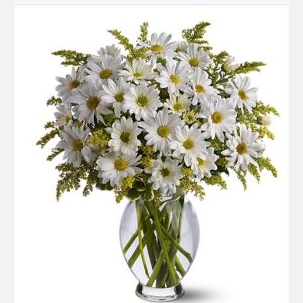 White Daisy Bouquet