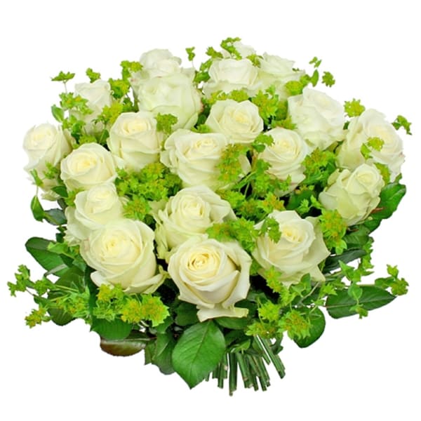 White revalation flowers