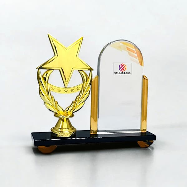 Wings Of Glory Metal And Crystal Trophy