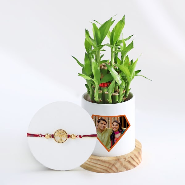 Wishing Tree Rakhi And Bamboo Plant With Personalized Pot