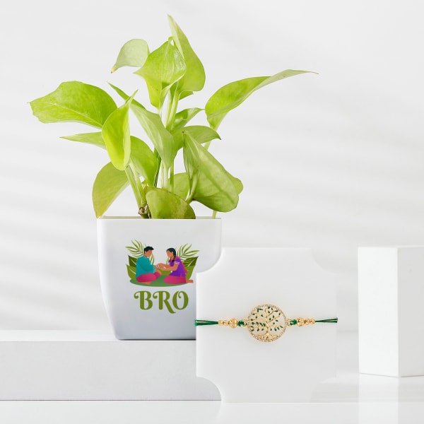 Wishing Tree Rakhi And Money Plant Combo