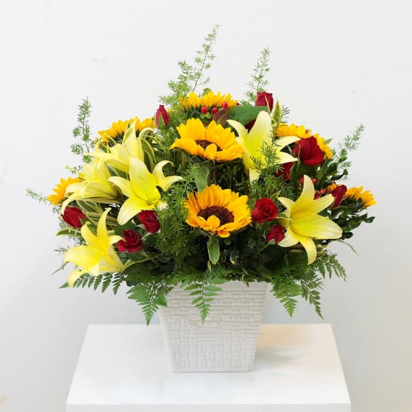 Yellow and Red Arrangement