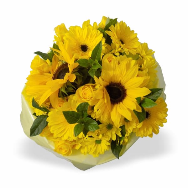 Yellow Bunch MED