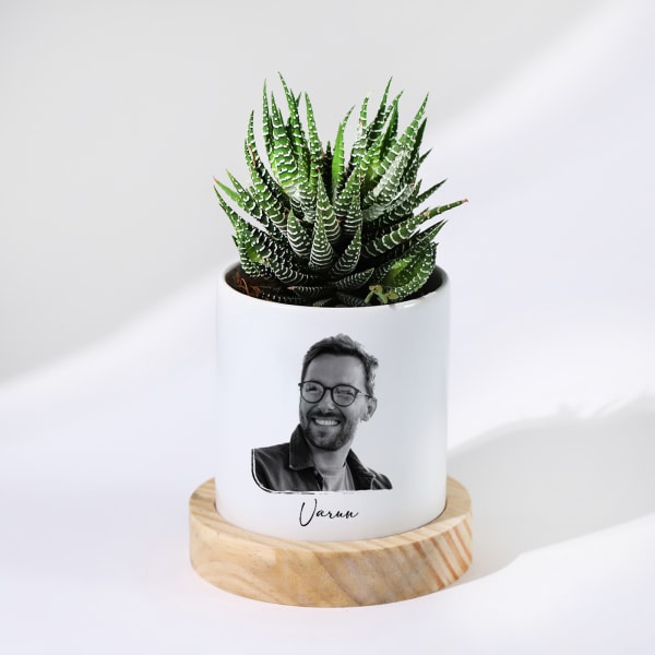 Zebra Succulent Personalized With Ceramic Planter