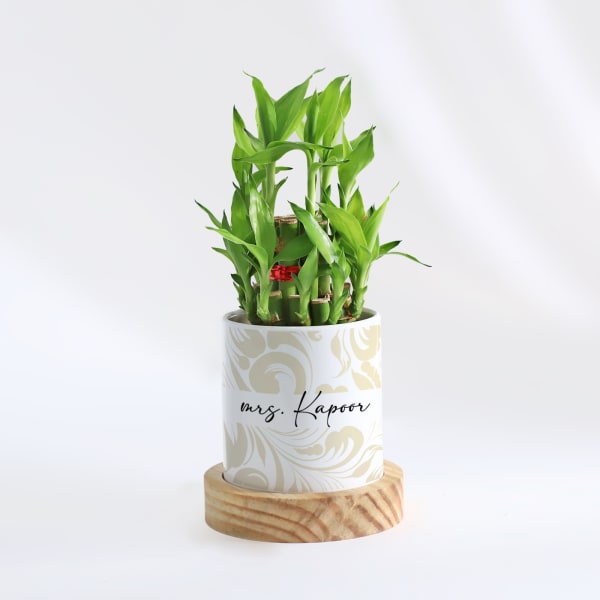 Zen Oasis - 2-Layer Bamboo Plant With Pot - Personalized
