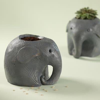 Adorable Elephant Resin Planter - Without Plant