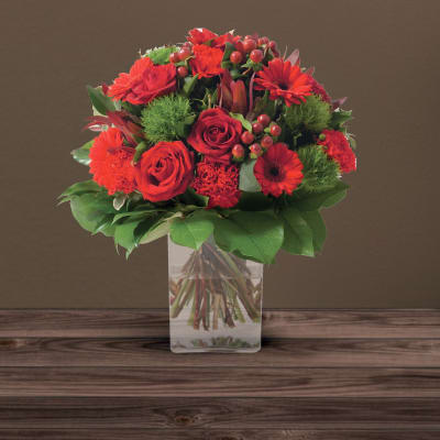 Amour (2012 film) intelligence overview