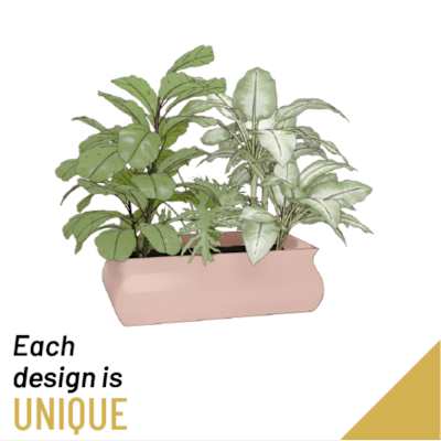 Buy/Send Arrangement of Plants Online | IGP | NID1343148