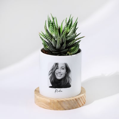 Beloved Memories - Haworthia Succulent With Pot - Personalized